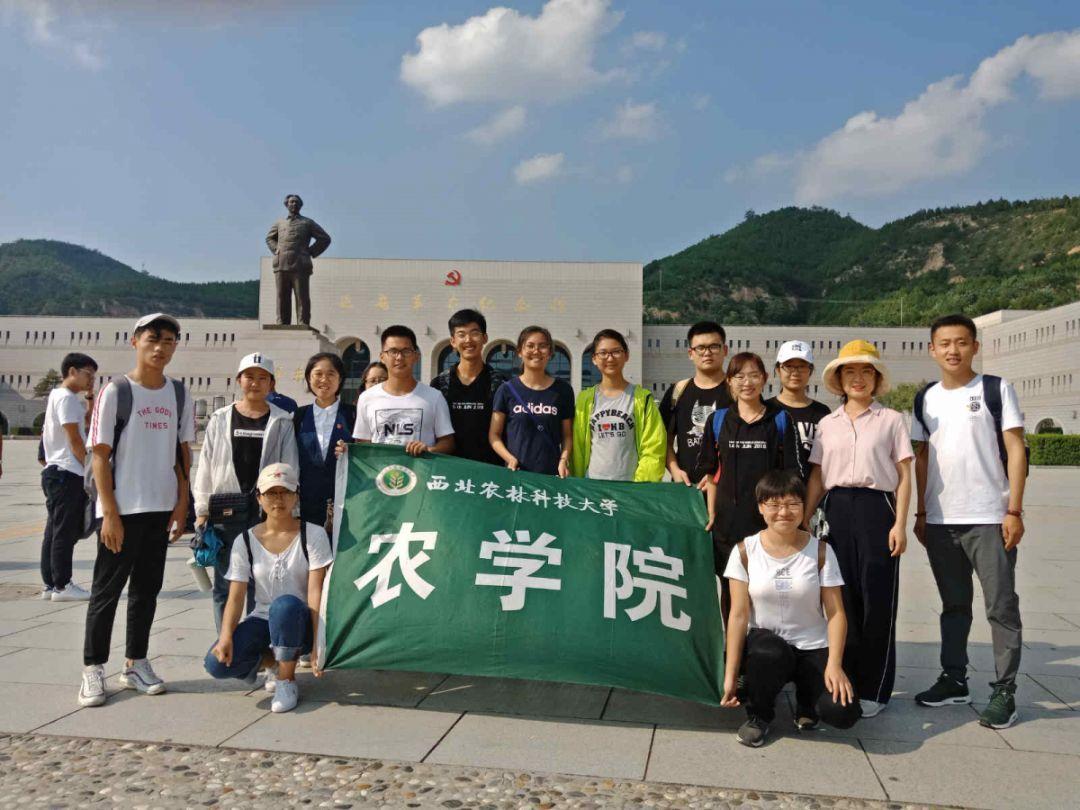 有没有过“似曾相识”的感觉——聚焦最热门话题的红迪网平台