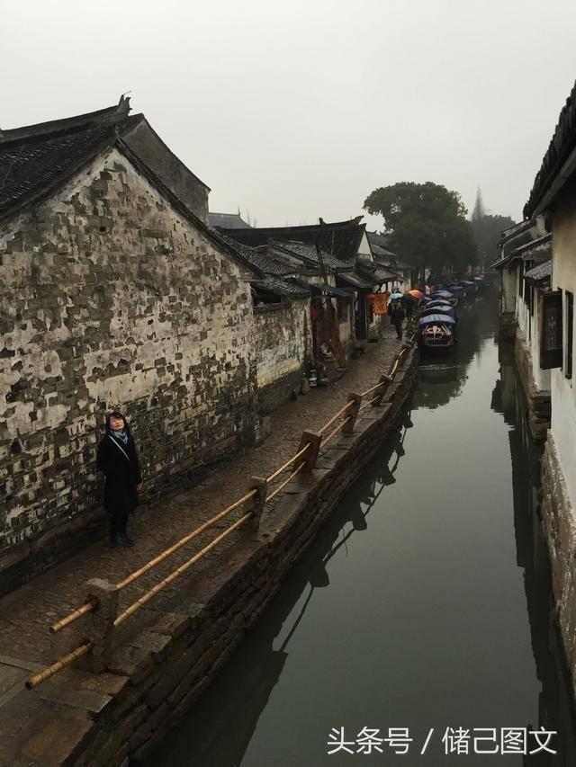 小团团要停播了,网友说是被王思聪拐跑了,她是如网友所说想奔现了吗?- 专业有问必答平台